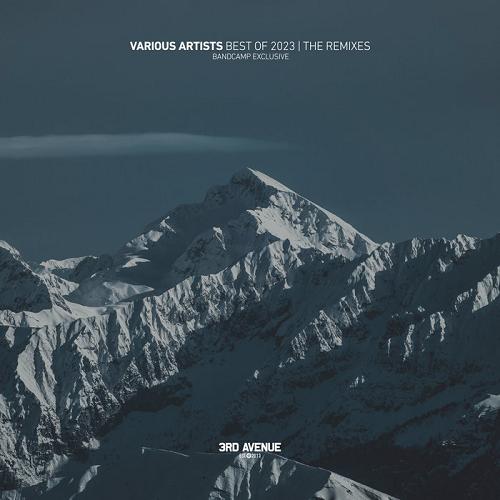 VA - Best Of 2023 The Remixes
